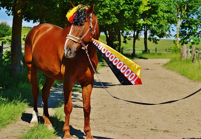 互信和协作 互信和协作