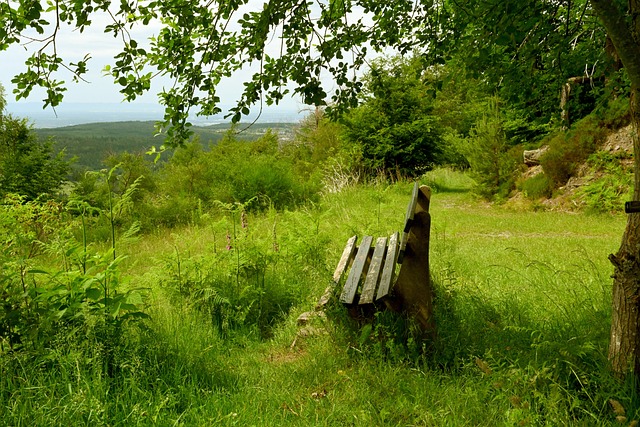值得一提的 值得一提的