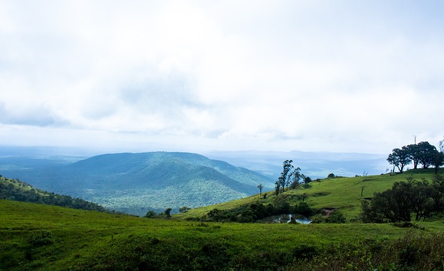 的个性化指 的个性化指